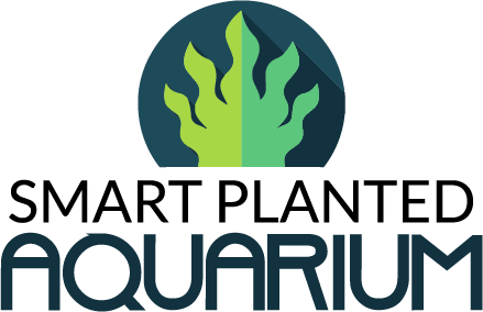 Smart Planted Aquarium