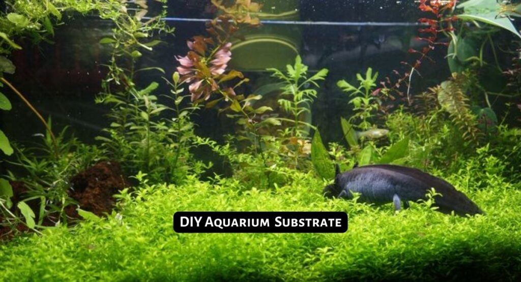 How Do You Make a Homemade Substrate