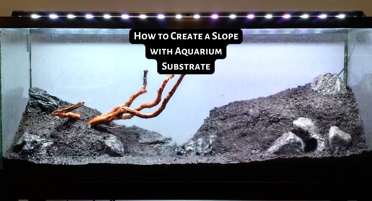 How to Create a Slope with Aquarium Substrate