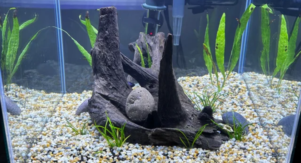 How to Prevent Aquarium Substrate From Compacting