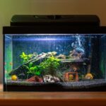 How to Remove Nitrates From Aquarium Water