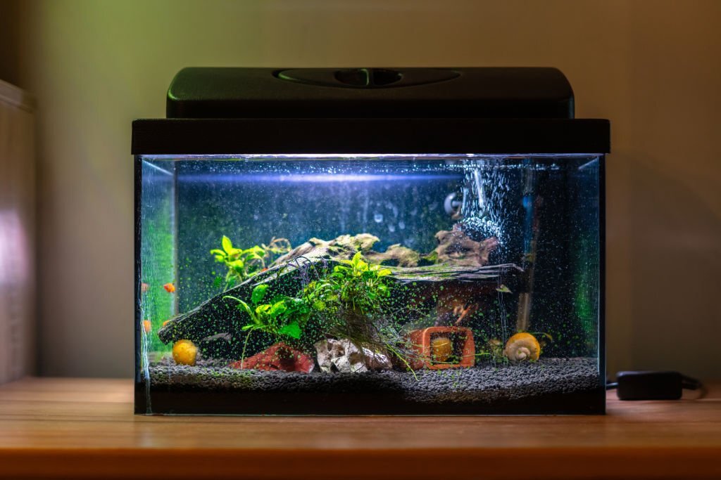 How to Remove Nitrates From Aquarium Water