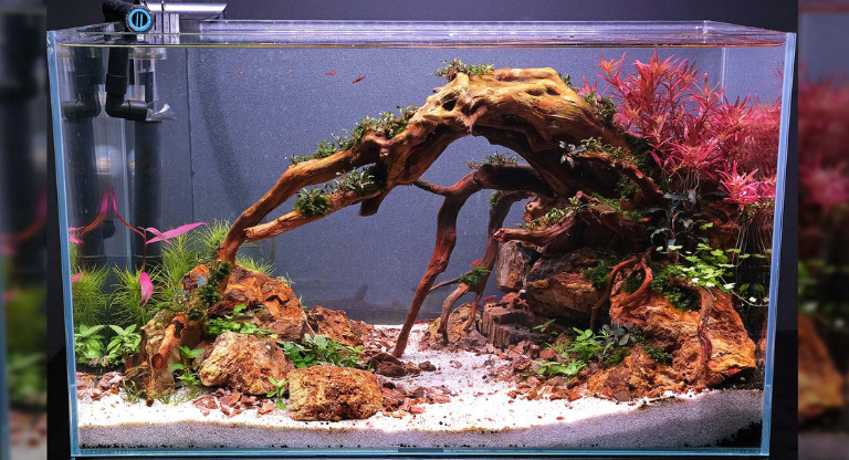 Aquarium Substrate Issues